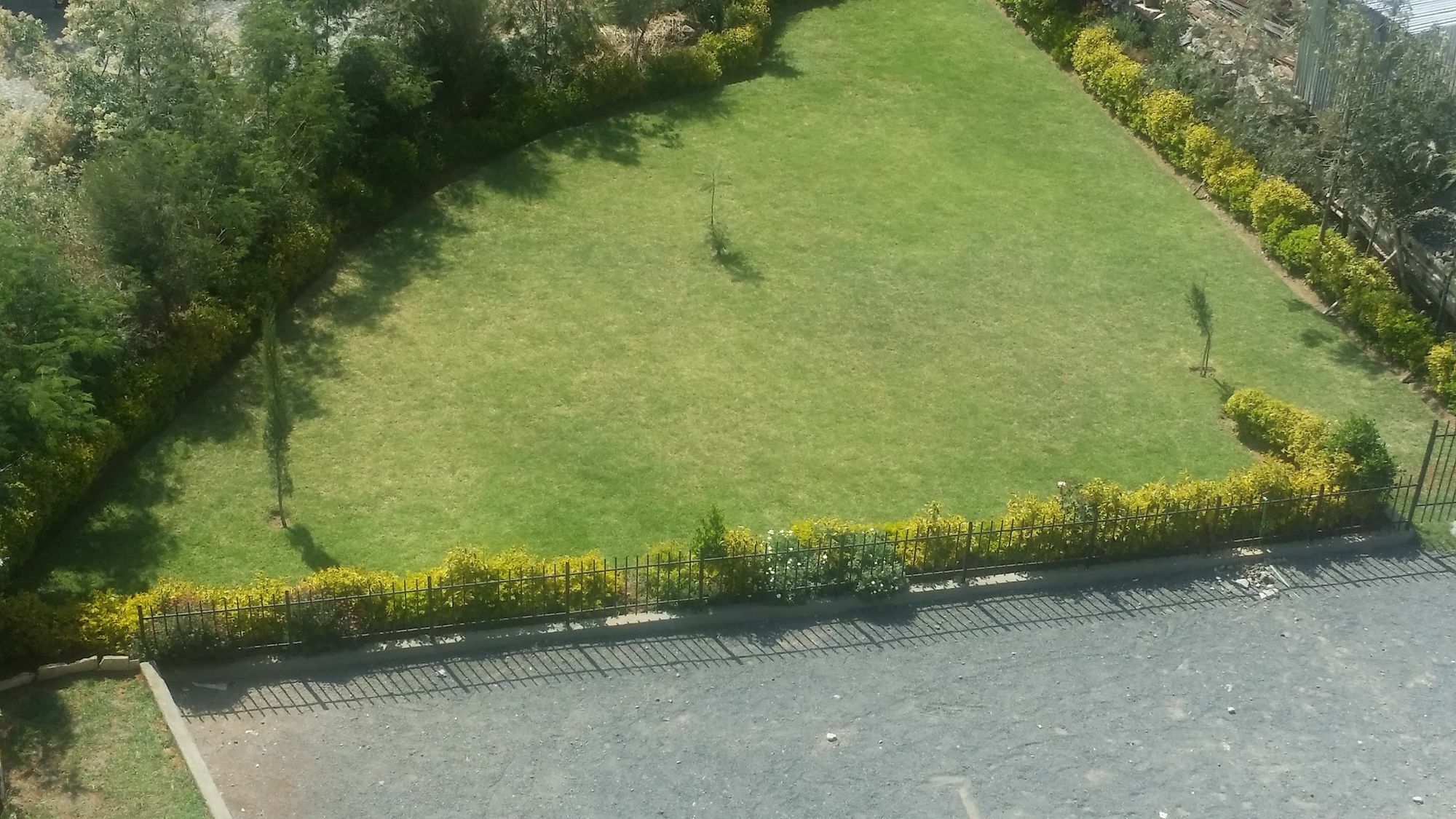 Afro Addis Hotel Apartment المظهر الخارجي الصورة